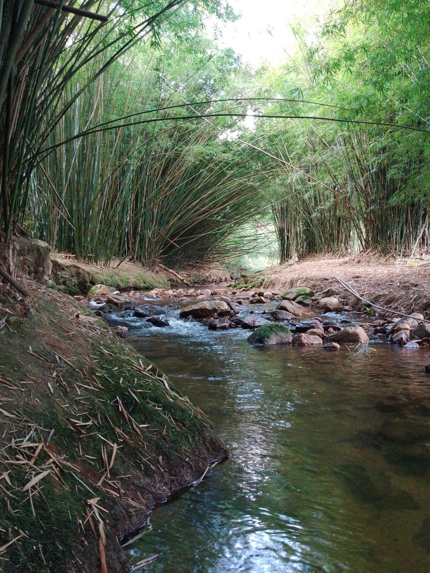 הוילה סאו בנטו דו ספוקאי Rancho Pe Da Pedra חדר תמונה
